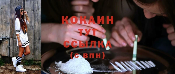 крисы Осинники