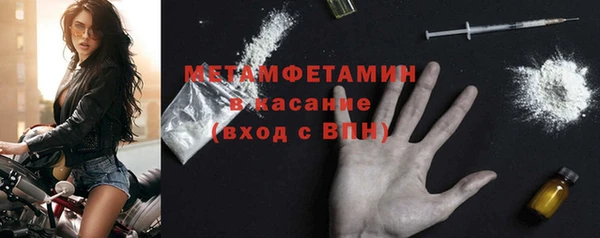 крисы Осинники