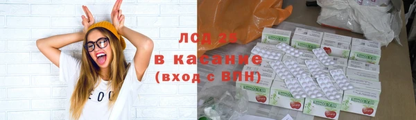 крисы Осинники