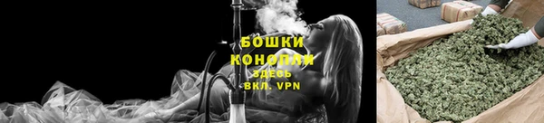 сатива Шали