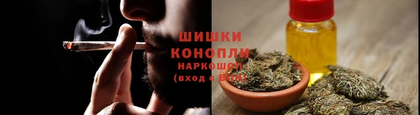 крисы Осинники