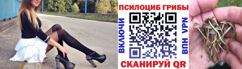 купить наркотики сайты  Белая Холуница  Галлюциногенные грибы ЛСД 